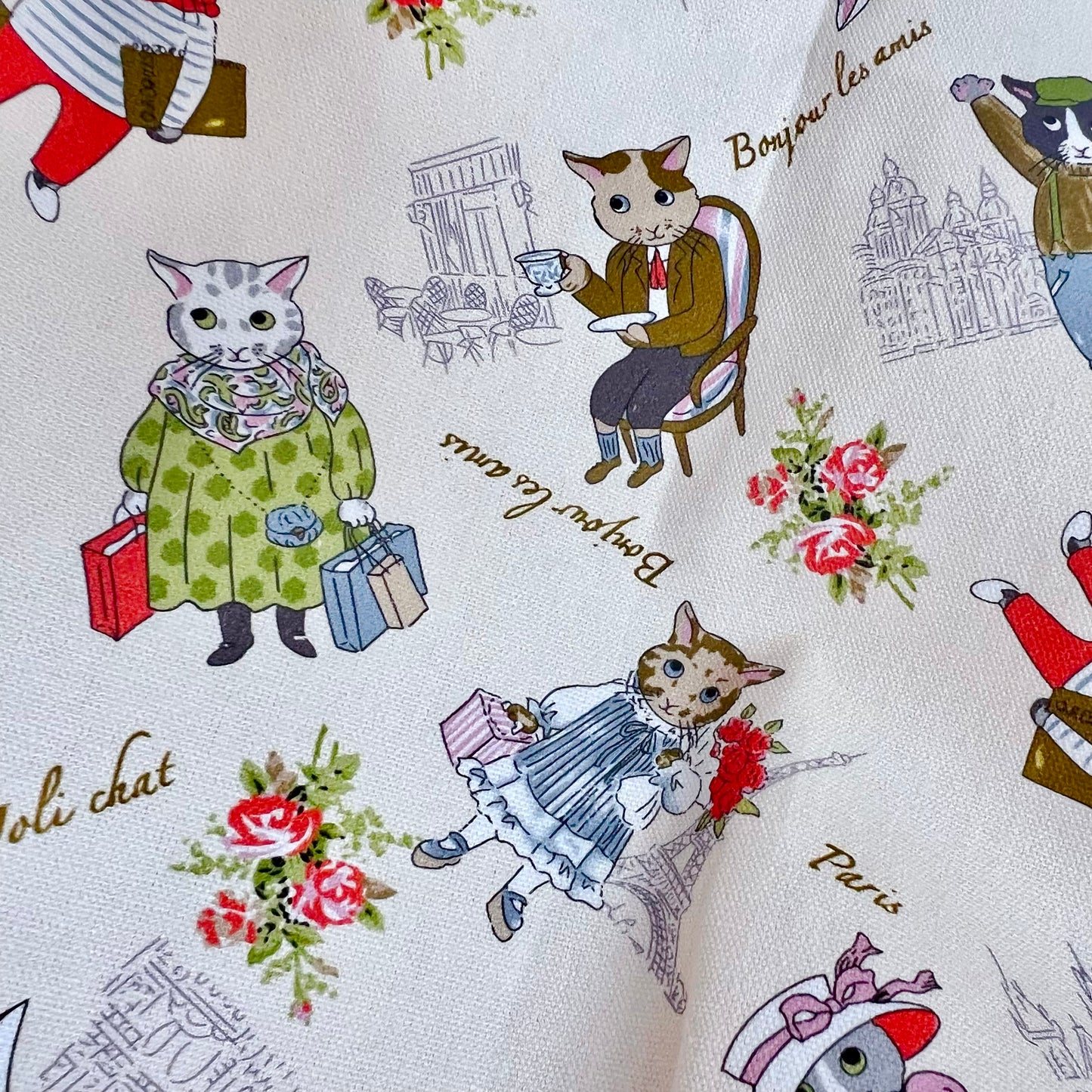 Paris cat one piece