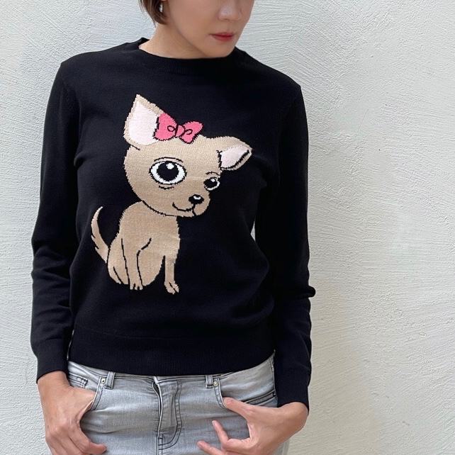 Brownie doggy sweater