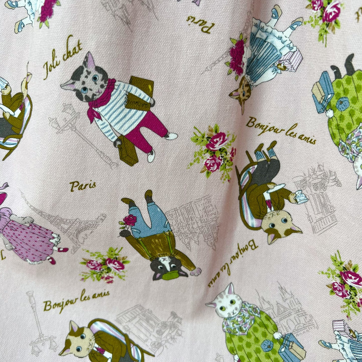 Paris cat one piece