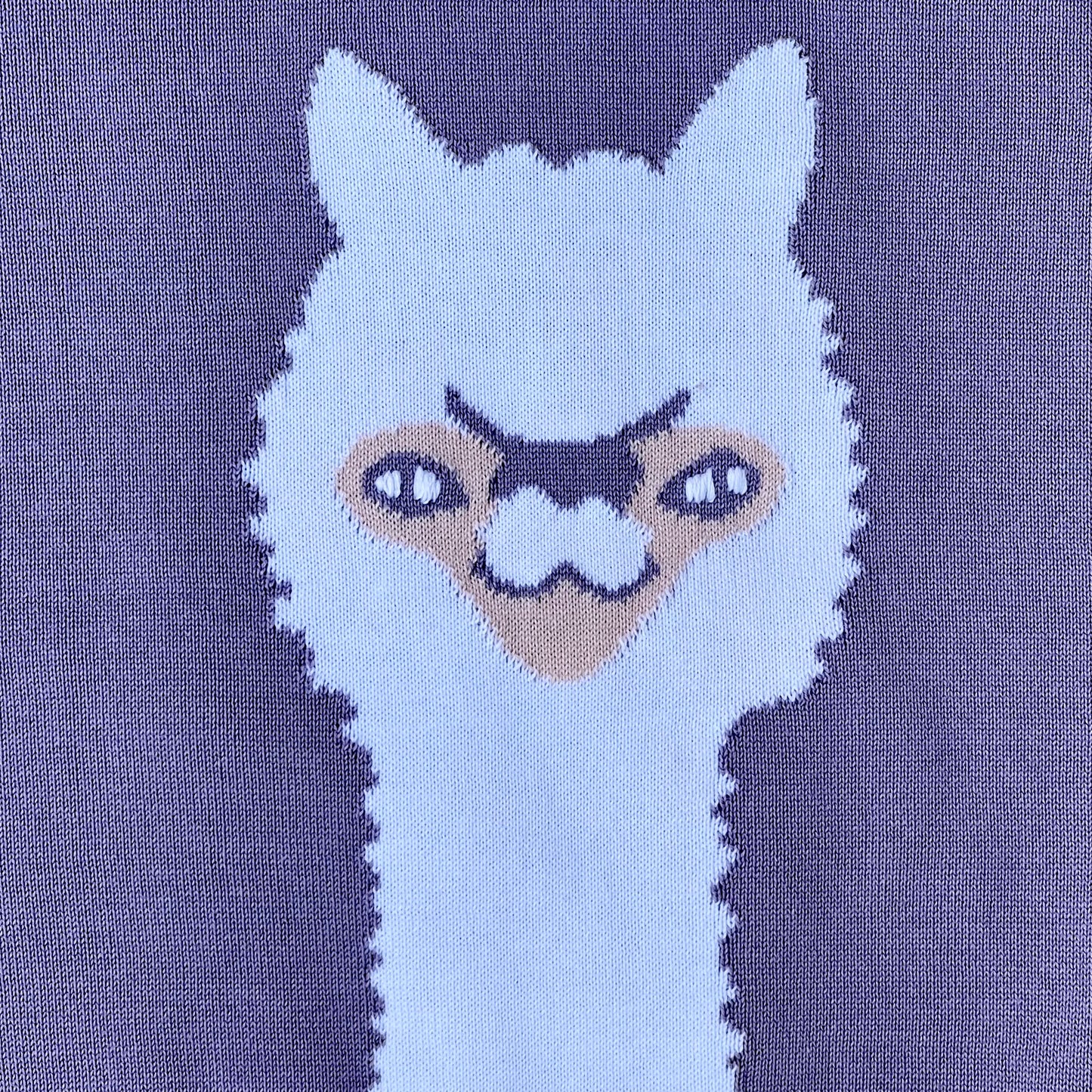 Naughty Pullover