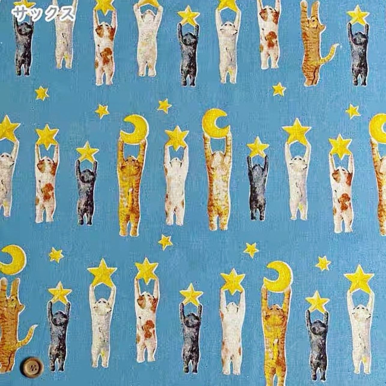 Cat chasing stars pattern one piece