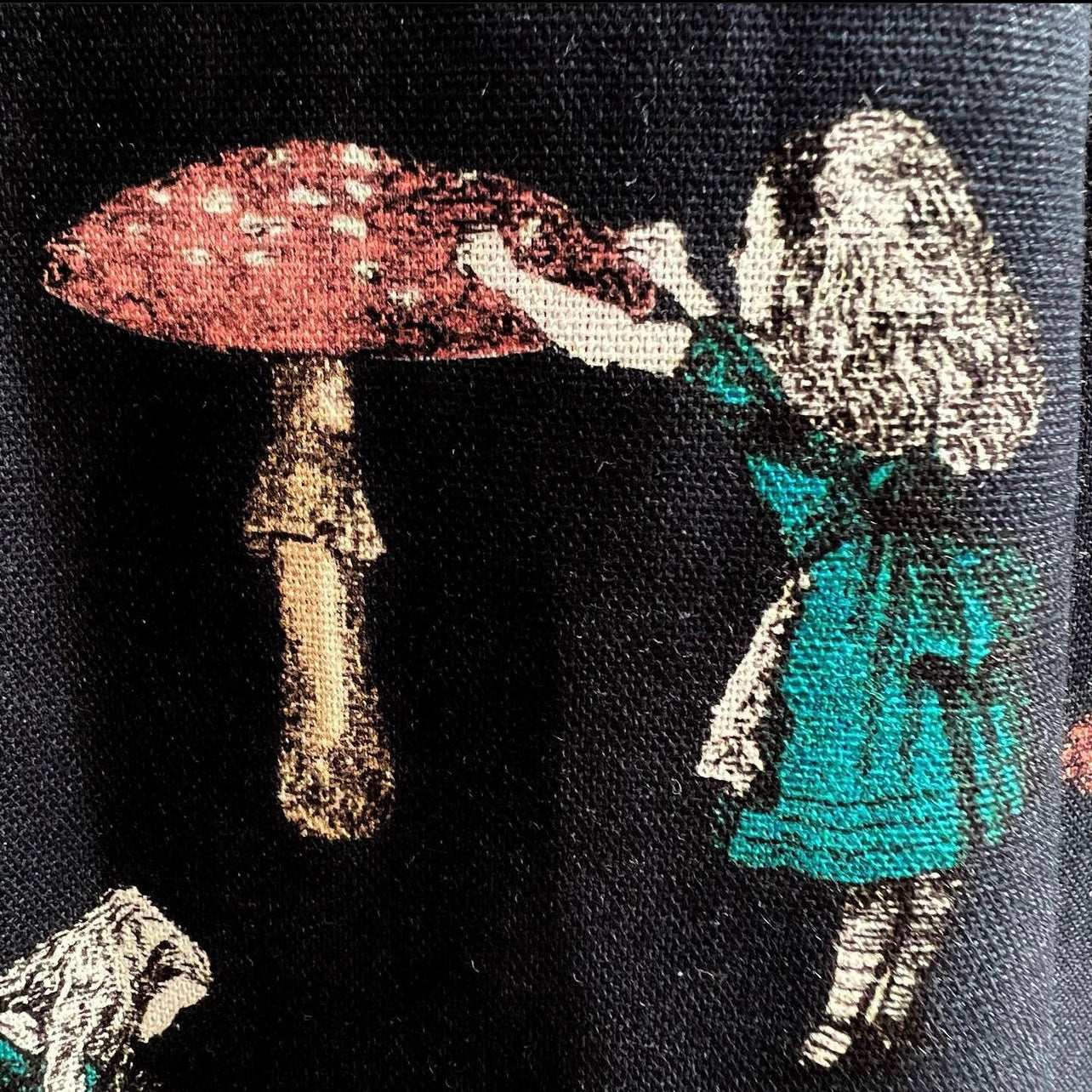 Alice in wonderland and mushroom one piece