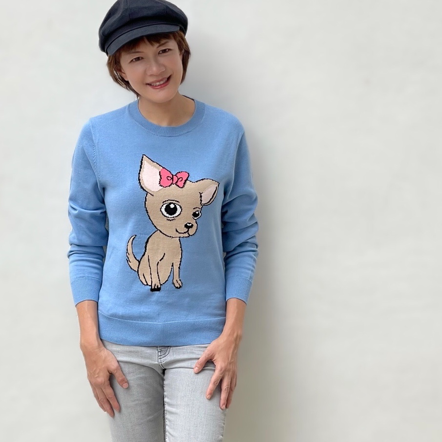 Brownie doggy sweater