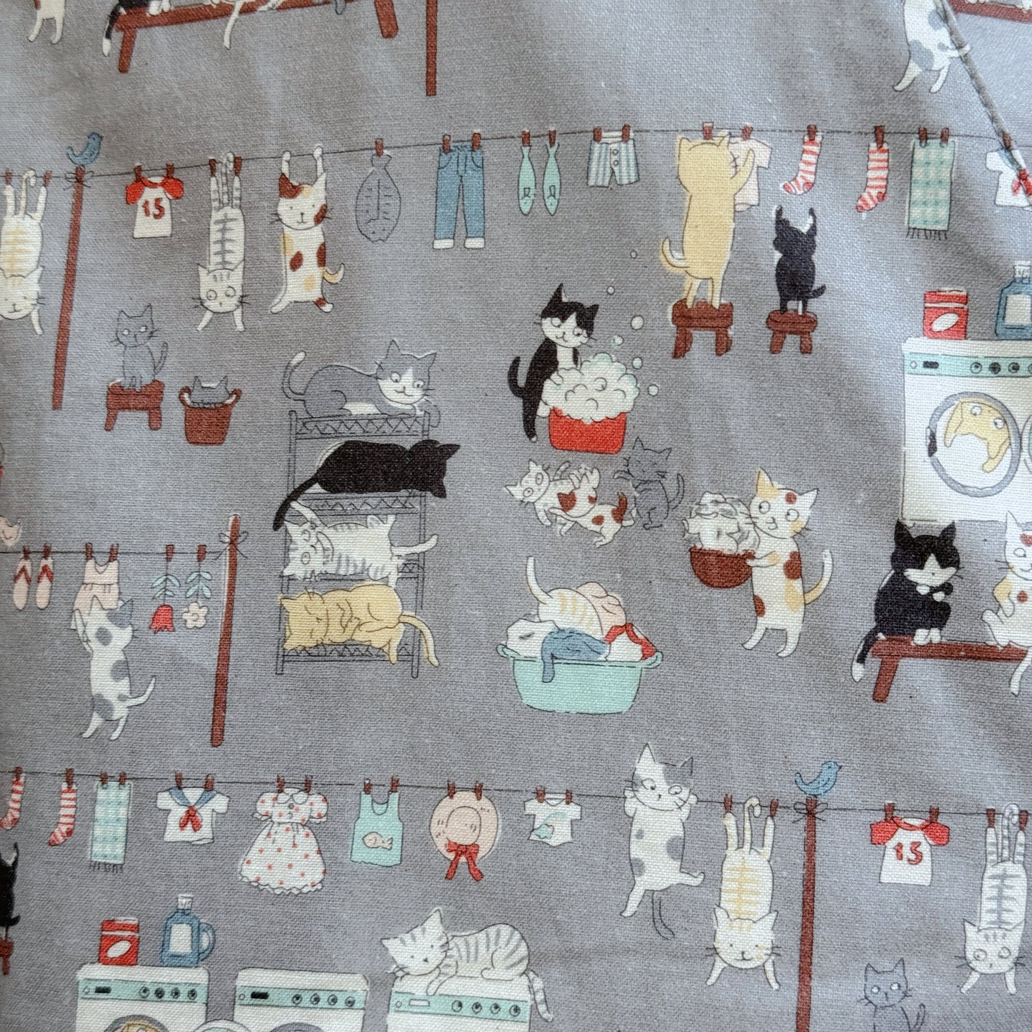 Cat in the washing room overall