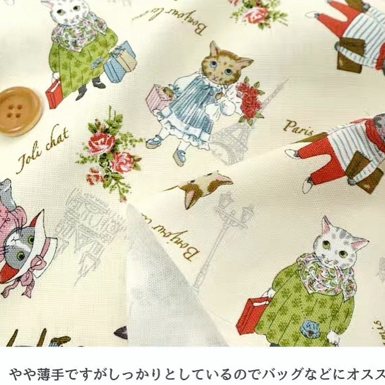 Paris cat one piece