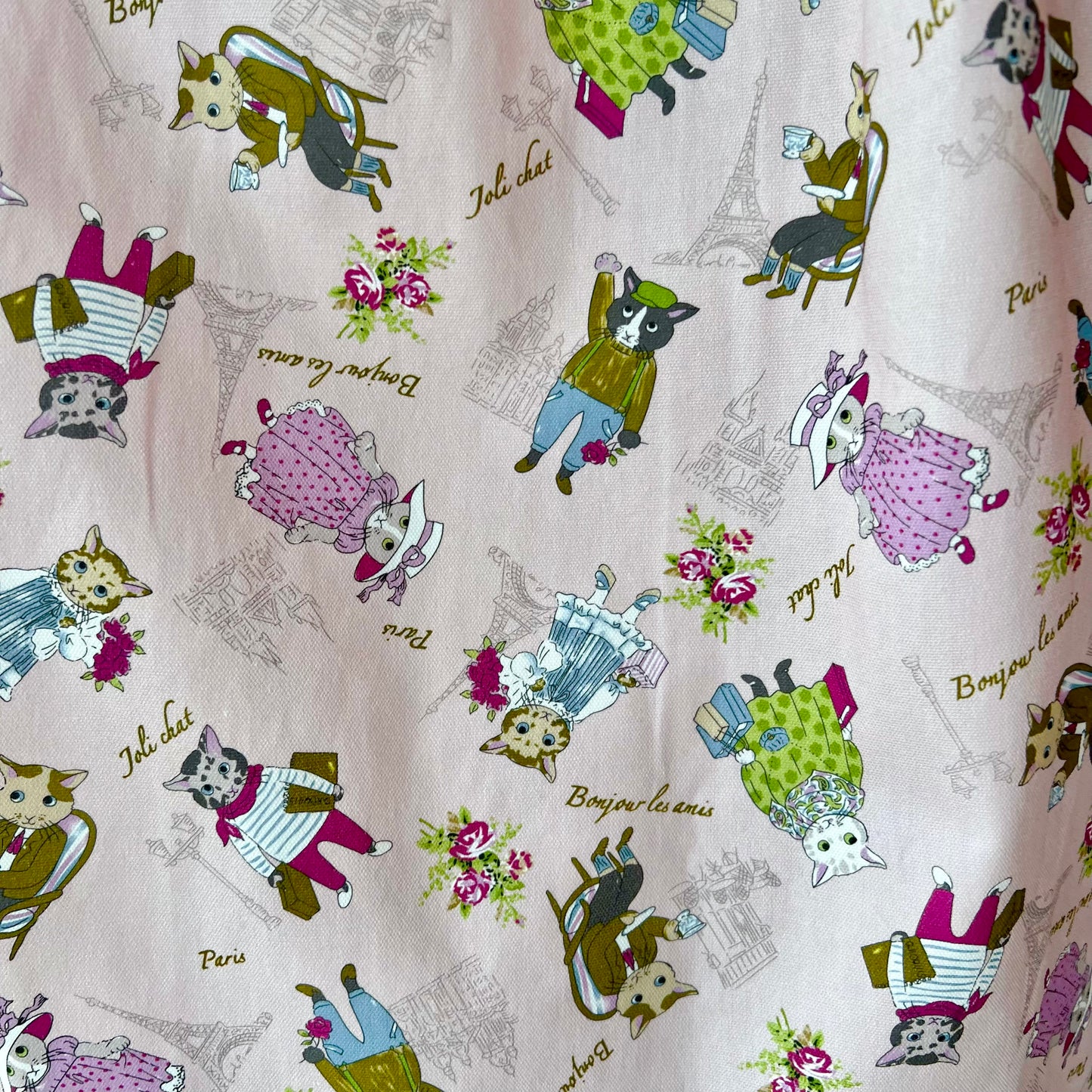 Paris cat one piece