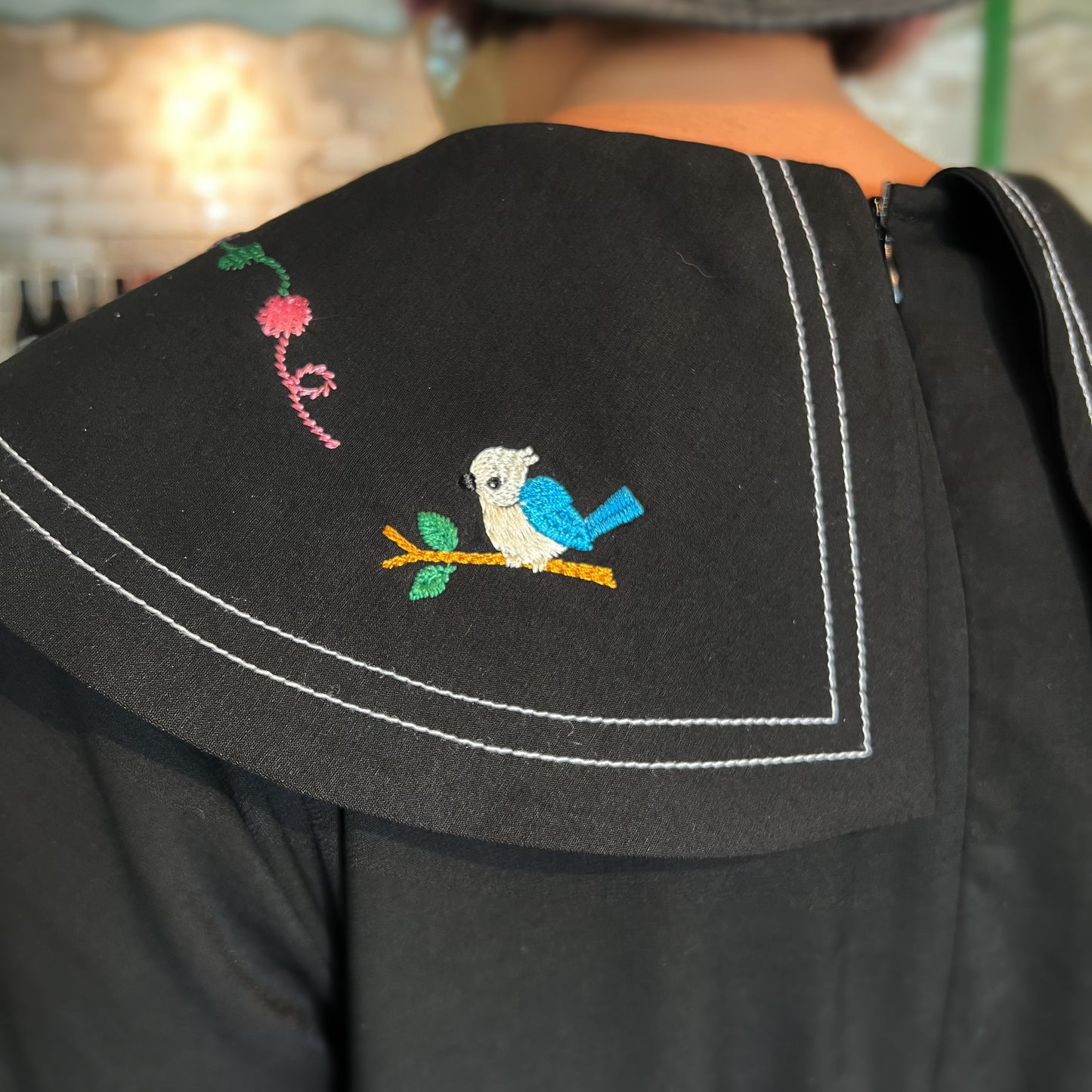 Cat and bird’s embroidery dress