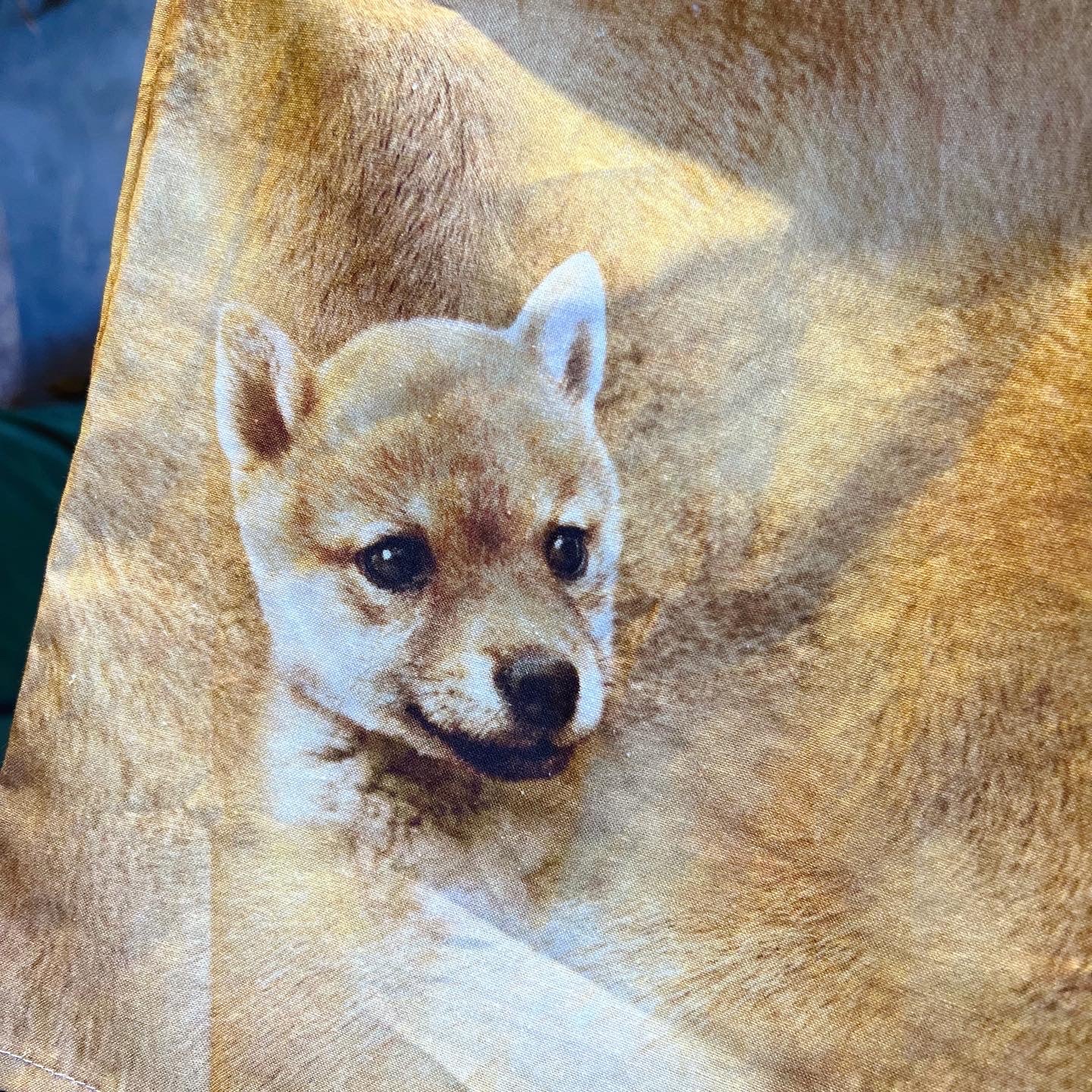 Happy Shiba Loose Fit Dress