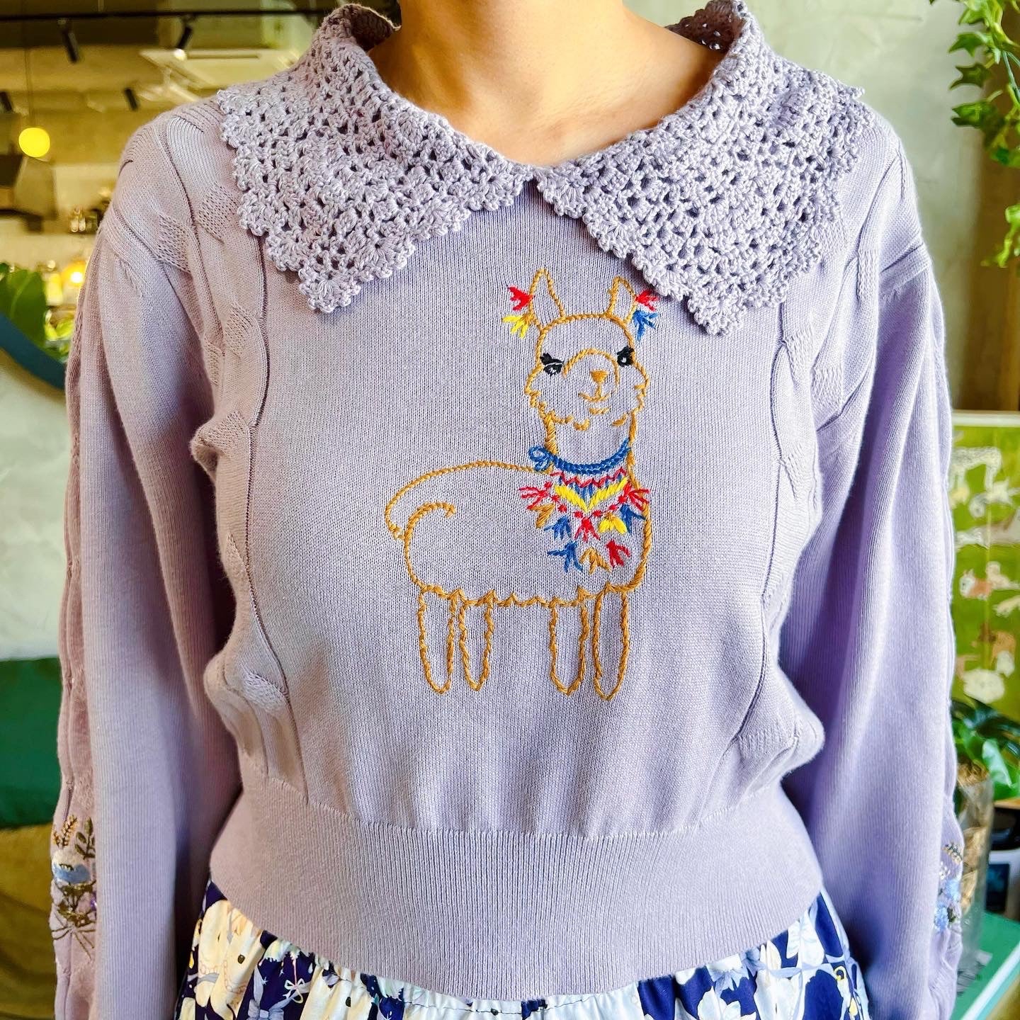 Hand Crochet And Alpaca Embroidery Sweater