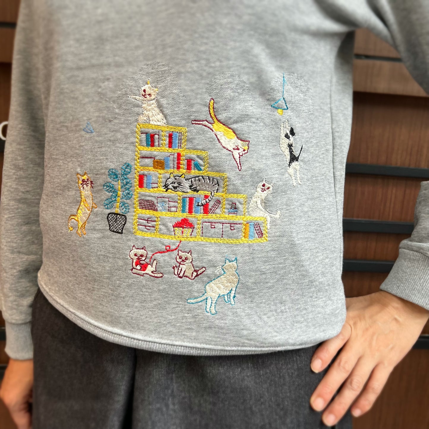 Cats and bookshelves embroidery sweatshirt