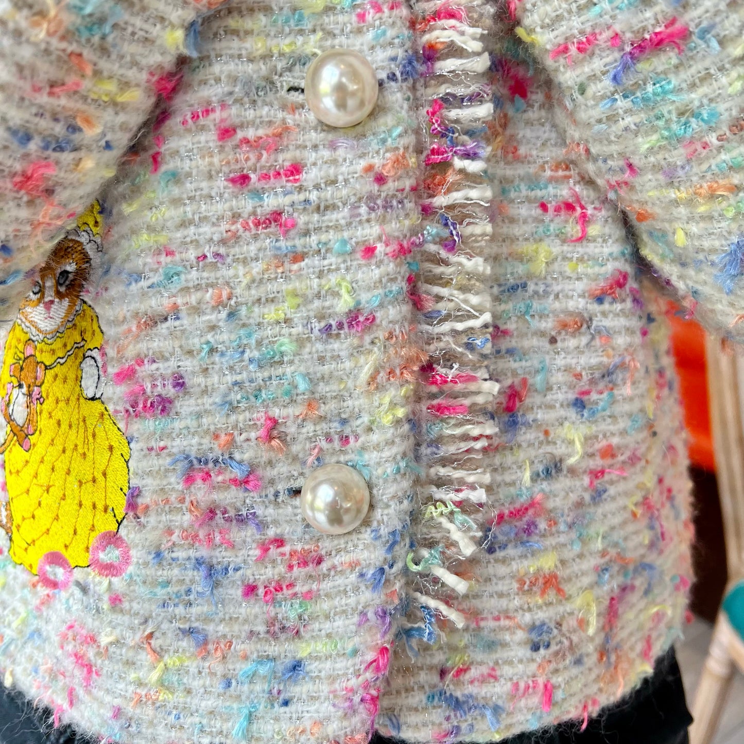 Rainbow tweed and cat embroidery jacket