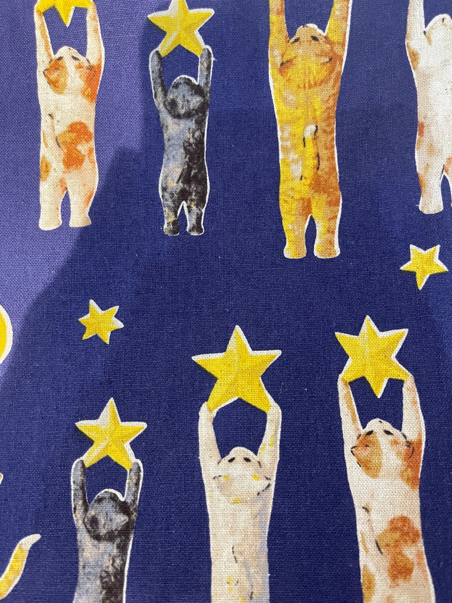 Cats chasing stars shirt