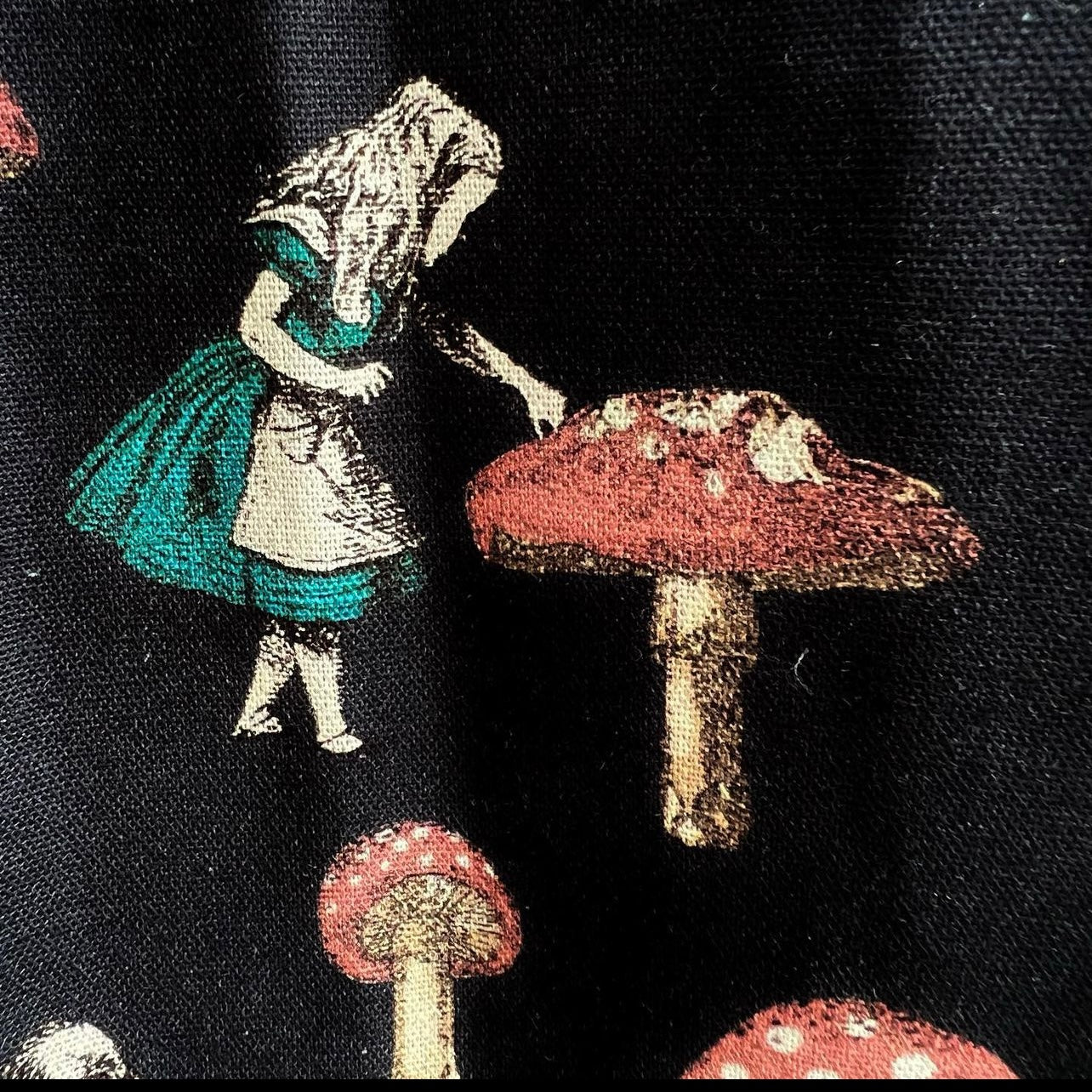 Alice in wonderland and mushroom one piece
