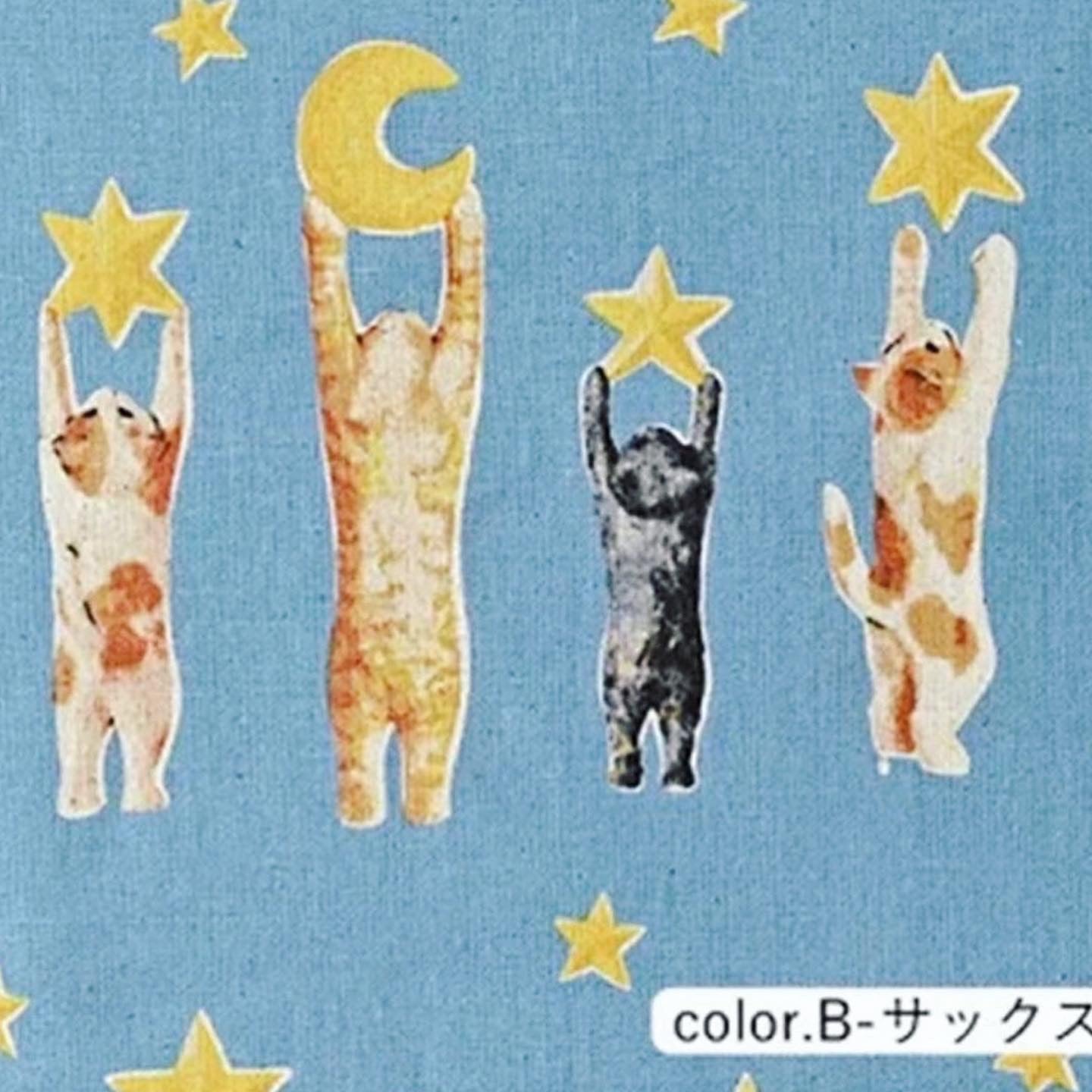 Cat chasing stars pattern one piece
